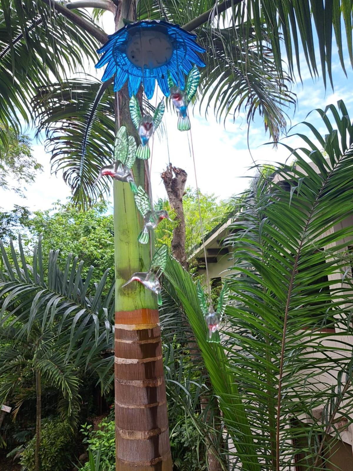 Spondylus Alojamento de Turismo Selvagem *