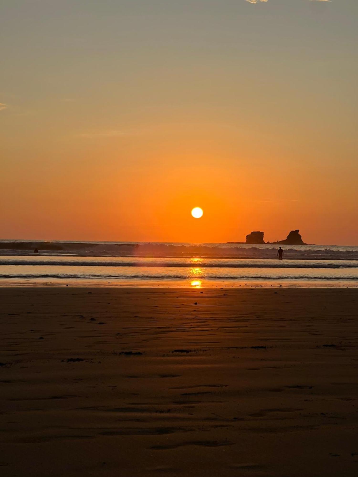 Alojamento de Turismo Selvagem Spondylus